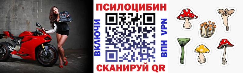 Псилоцибиновые грибы мицелий  Вязники 