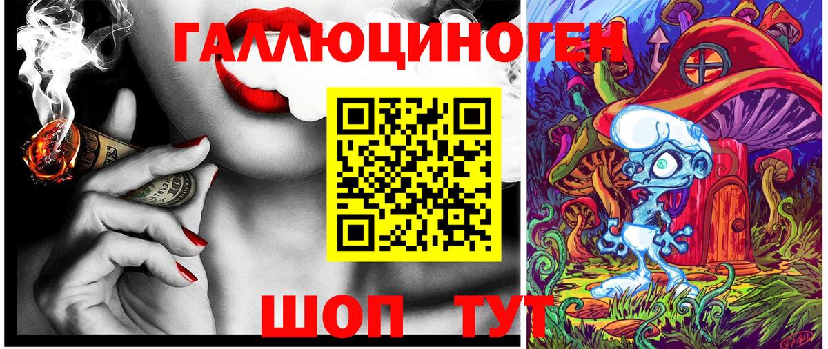Вязники  Псилоцибиновые грибы прущие грибы  Псилоцибиновые грибы прущие грибы  Вход с VPN 