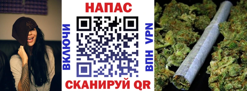 где купить   Вязники  Конопля план 